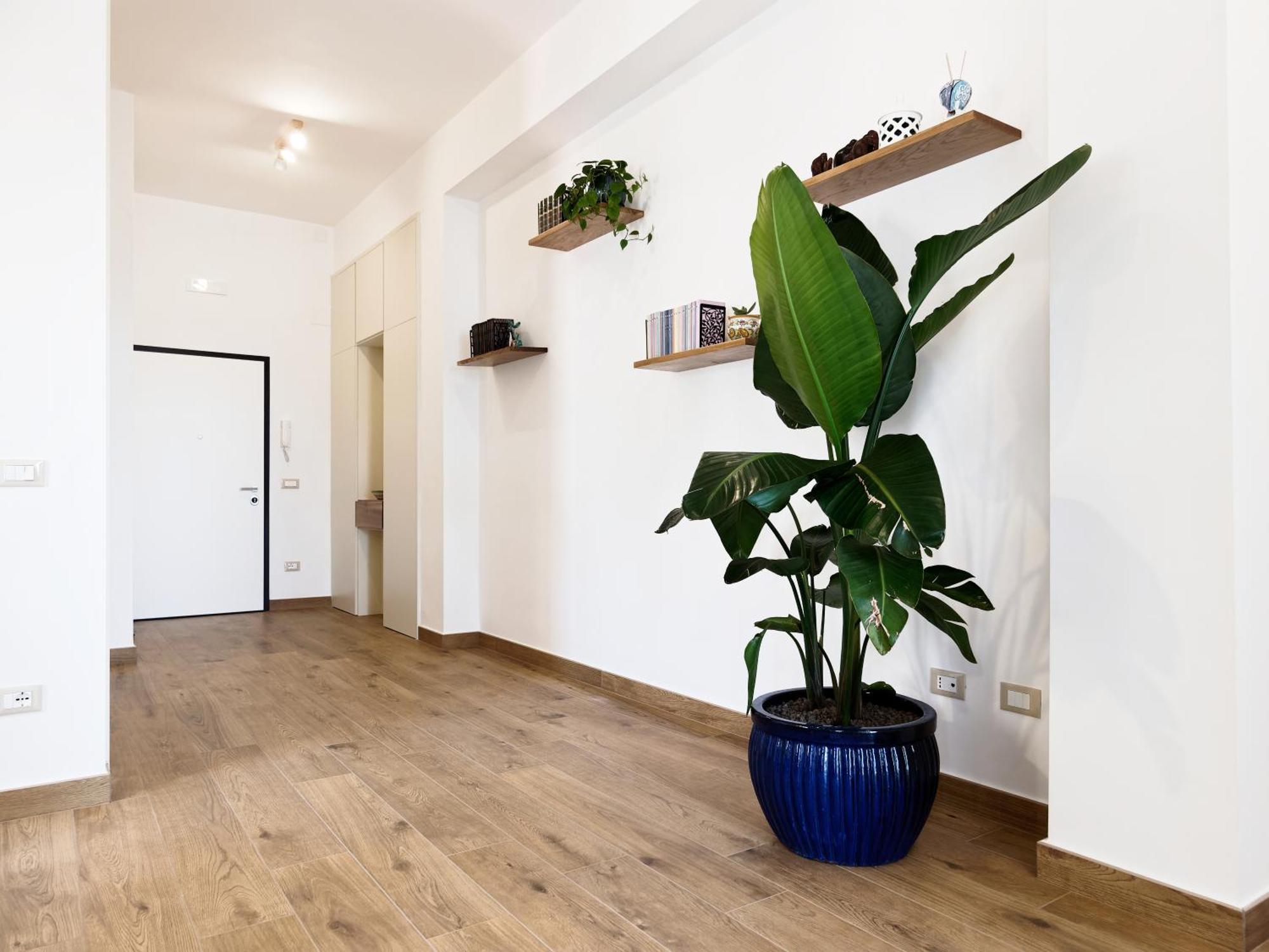 Susanna Boutique Home 维克艾库塞 外观 照片